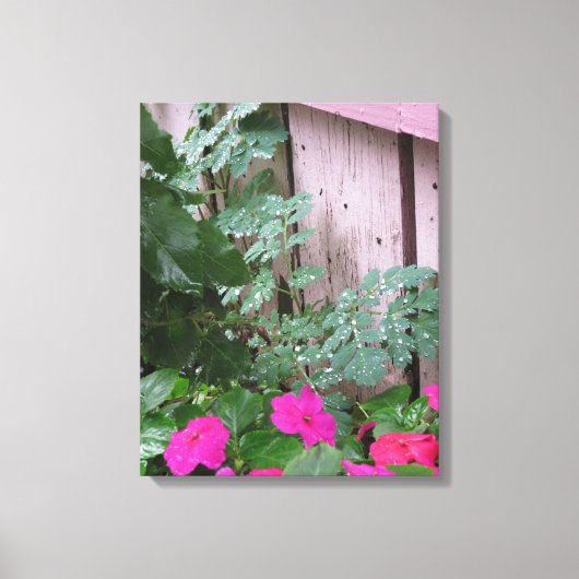 Garten Nach dem Regen - Martha's Vineyard Leinwanddruck (Vorderseite)