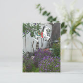 Garten neben dem General Store in der Nähe der gro Postkarte (Stehend Vorderseite)