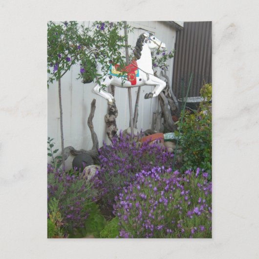 Garten neben dem General Store in der Nähe der gro Postkarte (Vorderseite)