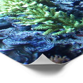 Garten Poseidon Poster (Ecke)