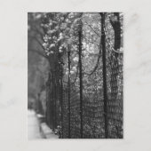 Garten Postkarte (Vorderseite)