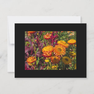 Garten Postkarte