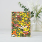 Garten Postkarte (Stehend Vorderseite)