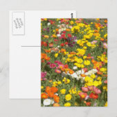 Garten Postkarte (Vorne/Hinten)