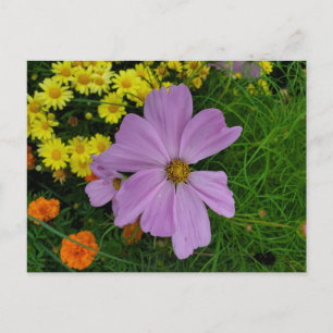 Garten Postkarte