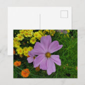 Garten Postkarte (Vorne/Hinten)
