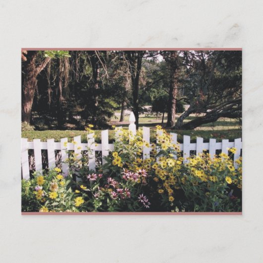 Garten Postkarte (Vorderseite)