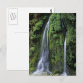 Garten: Postkarte von Eden (Vorne/Hinten)