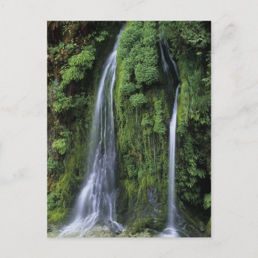 Garten: Postkarte von Eden (Vorderseite)