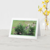 Garten-Rosen-leere Gruß-Karte Karte (Gelbe Blume)