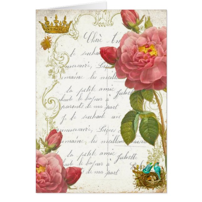 Garten-Rosen Versailles Marie Antoinette (Vorne)