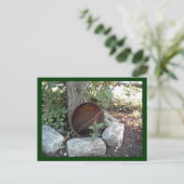 Garten rustikal postkarte (Stehend Vorderseite)