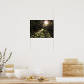 Garten-Sonnenschein-Druck Poster (Küche)
