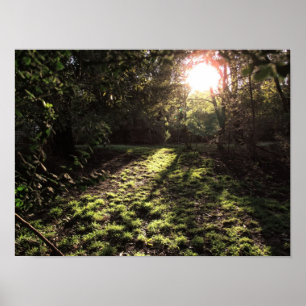 Garten-Sonnenschein-Druck Poster