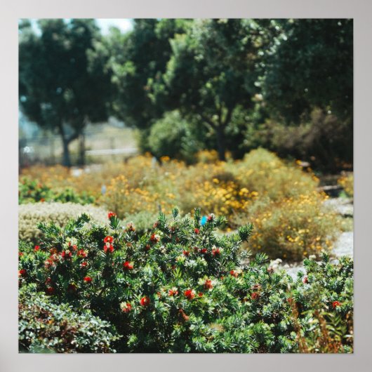 Garten Streuung Poster (Vorne)