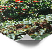 Garten Streuung Poster (Ecke)