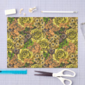 Garten Tarantula 1 Seidenpapier (Handwerk)