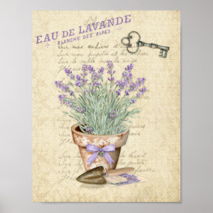 Garten-Terrakotta-Topf französischer Lavendel Poster