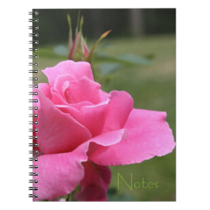 Garten-Thema gürtelrosa Rosa Notizblock