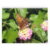 Garten träumt Kalender 2011 (Titelbild)