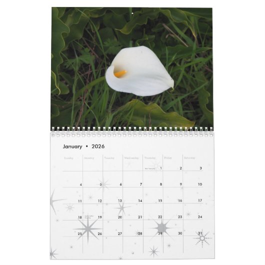 Garten träumt Kalender 2011 (Jan 2026)