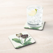 Garten-Tulpe, "von der Oper Botanica", graviert Getränkeuntersetzer (Rechte Seite)