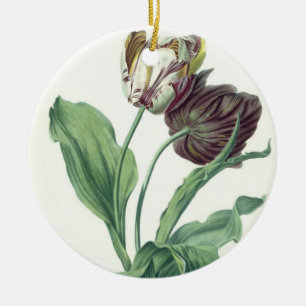 Garten-Tulpe, "von der Oper Botanica", graviert Keramikornament