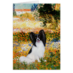 Garten (VG) - Papillon 1