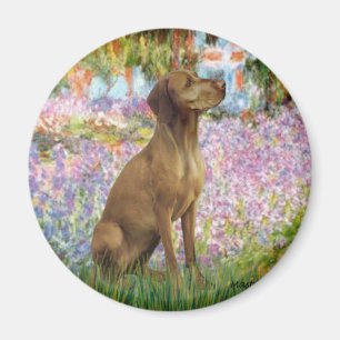 Garten - Vizsla 1 Magnet