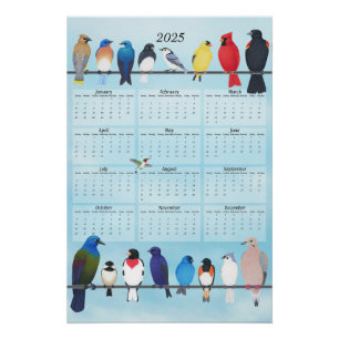 Garten Vögel 2025 Mauerkalender Poster