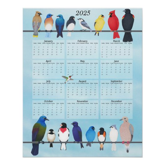 Garten Vögel 2025 Mauerkalender Poster (Vorderseite)