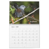 Garten-Vogel-Monatskalender Kalender (Mär 2027)