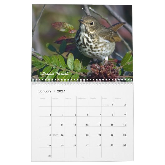 Garten-Vogel-Monatskalender Kalender (Jan 2027)