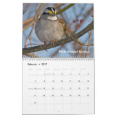 Garten-Vogel-Monatskalender Kalender (Feb 2027)