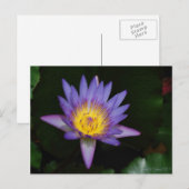 Garten von Eden Postkarte (Vorne/Hinten)