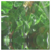 Garten von Geranien... Stoff (Nahaufnahme)