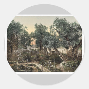 Garten von Gethsemane, Jerusalem, Klassiker des He Runder Aufkleber
