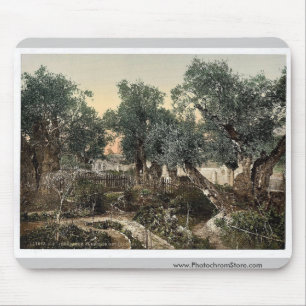 Garten von Gethsemane, Jerusalem, Landsklassiker Mousepad