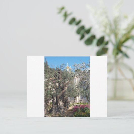 Garten von Gethsemane Postkarte (Stehend Vorderseite)