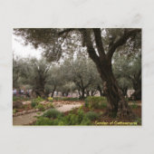 Garten von Gethsemane Postkarte (Vorderseite)