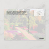 Gärten von Longwood, Pennsylvania Postkarte (Rückseite)