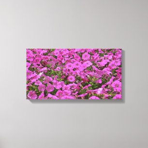 "GARTEN VON PINK PETUNIAS" (FOTOG. DIGITALES MANIP LEINWANDDRUCK