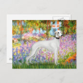 Garten - Whippet 11b Postkarte (Vorne/Hinten)