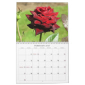 Garten wundert sich Kalender 2013 (Feb 2027)