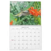 Garten wundert sich Kalender 2013 (Mär 2027)