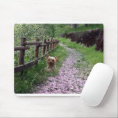 Garten Yorkshires Terrier Mousepad (Mit Mouse)