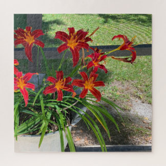 Gartenanlagen Taglilien Blume Sommer Foto Natur Puzzle