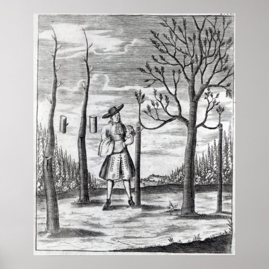 Gartenarbeit und Pflanze Maladies Poster (Vorne)