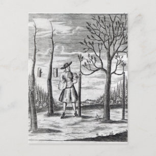 Gartenarbeit und Pflanze Maladies Postkarte