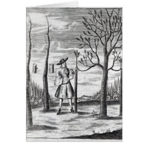 Gartenarbeit-und Pflanzen-Krankheiten